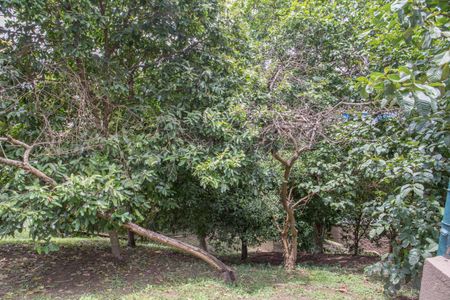 Apartamento para alugar com 75m², 3 quartos e 1 vaga Apartamento para alugar com 75m², 3 quartos e 1 vagaÁrea comum