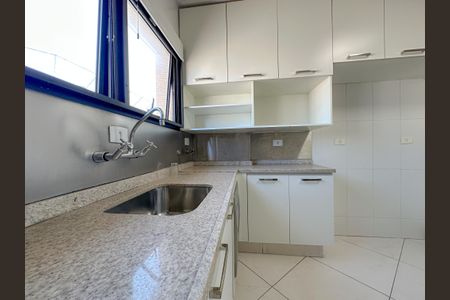 Apartamento para alugar com 315m², 5 quartos e 3 vagasCozinha