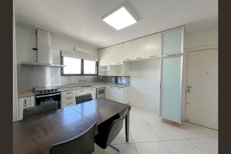 Apartamento para alugar com 315m², 5 quartos e 3 vagasCozinha
