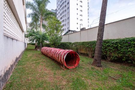 Apartamento para alugar com 66m², 2 quartos e 1 vaga Apartamento para alugar com 66m², 2 quartos e 1 vagaPet Place