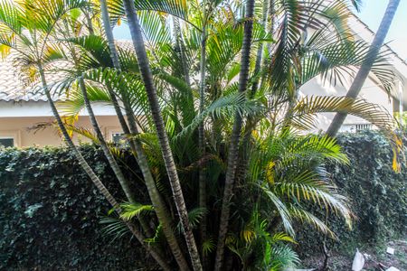 Casa de condomínio à venda com 507m², 5 quartos e 4 vagasVista da Suíte