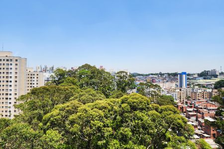 Apartamento para alugar com 50m², 2 quartos e 1 vagaVista do Quarto 1