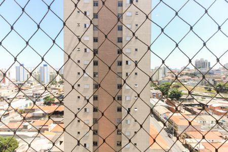 Sala - Vista  de apartamento à venda com 2 quartos, 47m² em Chácara Califórnia, São Paulo