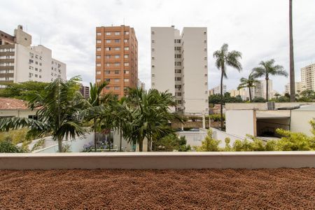 Sala de apartamento para alugar com 1 quarto, 47m² em Cambuí, Campinas