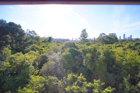 Apartamento para alugar com 41m², 2 quartos e 1 vagaVista do Quarto 2