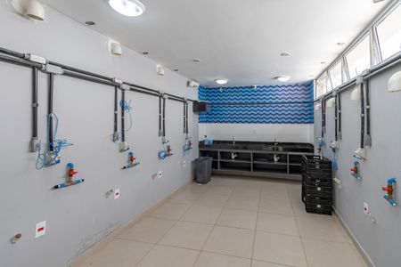 Apartamento para alugar com 38m², 2 quartos e sem vagaLavanderia