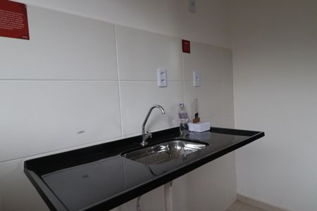 Cozinha de casa de condomínio para alugar com 2 quartos, 55m² em Parque Residencial Candido Portinari, Ribeirão Preto