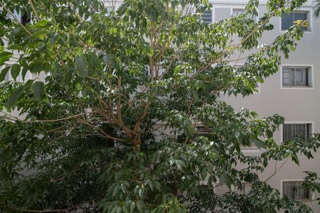 Apartamento para alugar com 49m², 2 quartos e 1 vaga Apartamento para alugar com 49m², 2 quartos e 1 vagaVista do Quarto 2