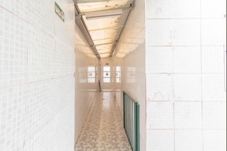 Casa para alugar com 261m², 5 quartos e 4 vagasQuintal