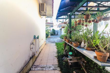 Casa à venda com 1500m², 4 quartos e 10 vagasQuintal