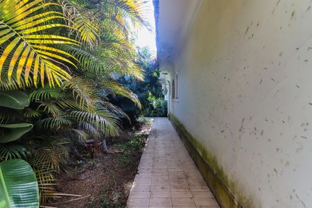 Casa à venda com 1500m², 4 quartos e 10 vagasQuintal