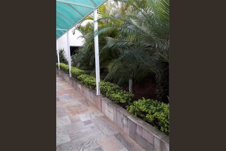 Apartamento à venda com 77m², 3 quartos e 2 vagas