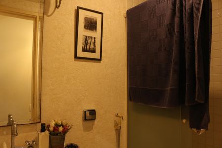 Apartamento à venda com 236m², 3 quartos e 2 vagasBanheiro Social