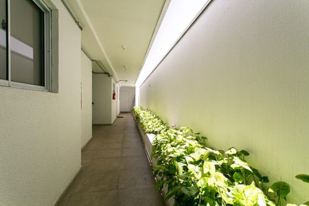 Apartamento à venda com 25m², 1 quarto e sem vagaÁrea Comum