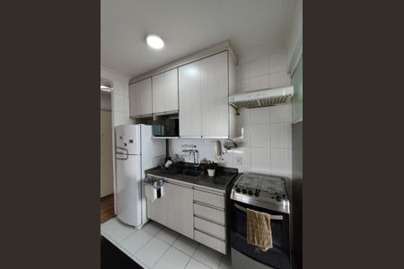 Apartamento à venda com 65m², 3 quartos e 1 vagaCozinha - Armários