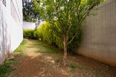 Apartamento à venda com 50m², 2 quartos e 1 vagaÁrea comum - Espaço pet