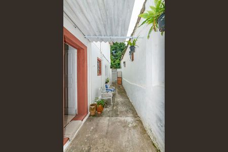 Casa para alugar com 100m², 2 quartos e sem vagaQuintal