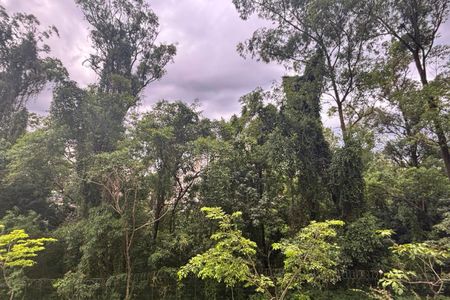 Vista da Sala de apartamento para alugar com 2 quartos, 40m² em Parque Bristol, São Bernardo do Campo