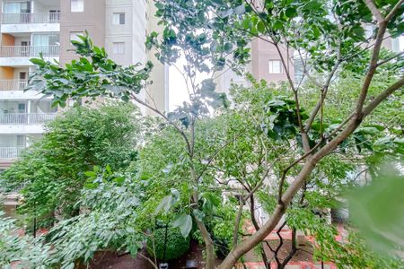 Apartamento para alugar com 65m², 3 quartos e 1 vaga Apartamento para alugar com 65m², 3 quartos e 1 vagaVista do Quarto 1