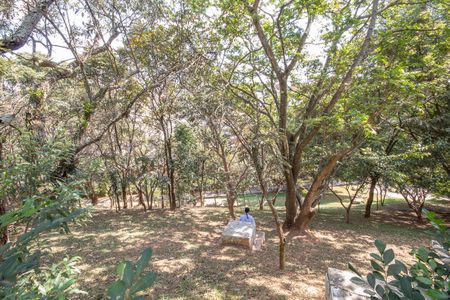 Apartamento para alugar com 65m², 2 quartos e 1 vaga Apartamento para alugar com 65m², 2 quartos e 1 vagaÁrea comum