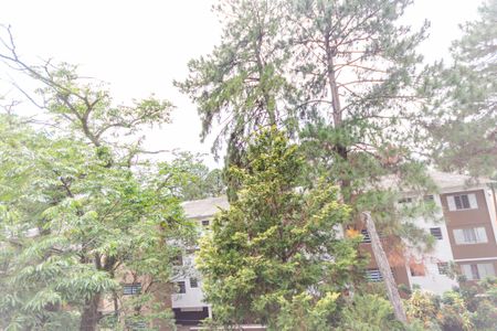 Apartamento à venda com 71m², 3 quartos e 2 vagasVista do Quarto 1