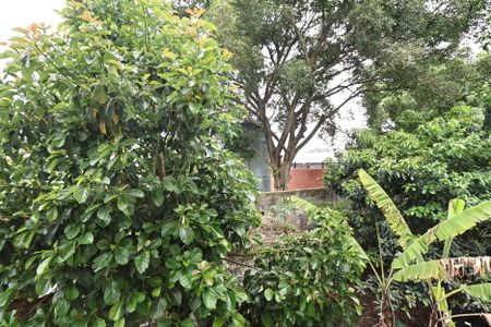 Apartamento à venda com 42m², 2 quartos e 1 vaga Apartamento à venda com 42m², 2 quartos e 1 vagaVista do Quarto 1