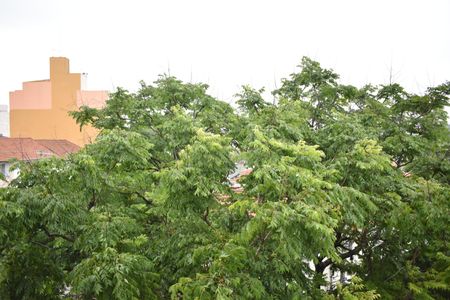 Apartamento para alugar com 90m², 3 quartos e 2 vagasQuarto 2