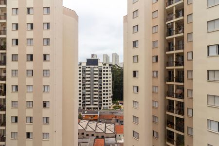 Apartamento para alugar com 143m², 4 quartos e 2 vagas Apartamento para alugar com 143m², 4 quartos e 2 vagasCozinha - Vista
