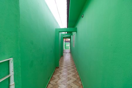 Quintal de casa à venda com 5 quartos, 302m² em Vila Maria Eugênia, Campinas