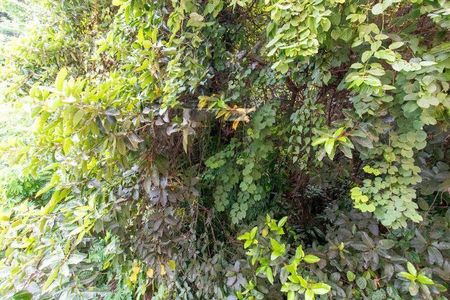 Apartamento à venda com 58m², 2 quartos e 1 vaga