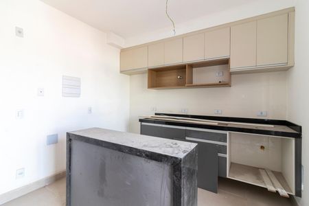 Cozinha de apartamento para alugar com 1 quarto, 33m² em Santana, São Paulo