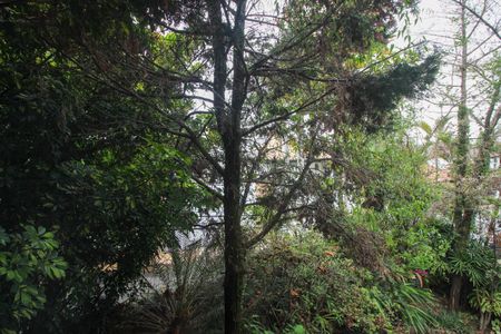 Casa à venda com 490m², 5 quartos e 6 vagasQuarto 1