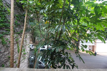 Casa à venda com 490m², 5 quartos e 6 vagasVista da Suíte 1