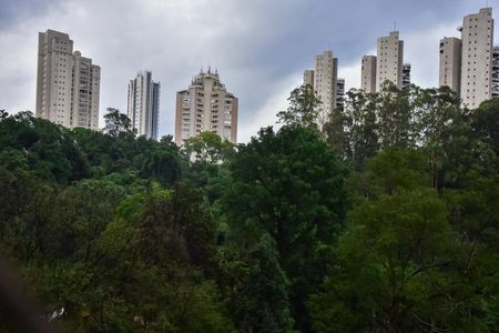 Apartamento para alugar com 296m², 3 quartos e 4 vagasVista do Quarto 1