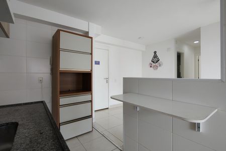 Apartamento para alugar com 58m², 2 quartos e 1 vagaCozinha - Armários