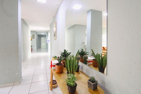 Apartamento para alugar com 40m², 2 quartos e sem vaga Apartamento para alugar com 40m², 2 quartos e sem vagaÁrea comum