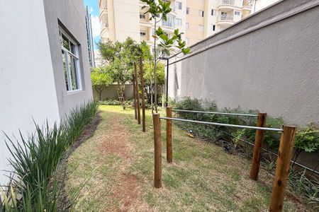 Studio para alugar com 31m², 1 quarto e sem vaga Studio para alugar com 31m², 1 quarto e sem vagaaera pet