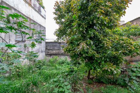 Casa à venda com 132m², 5 quartos e sem vagaQuintal