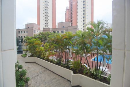 Apartamento para alugar com 100m², 3 quartos e 1 vagaVista do Quarto 1