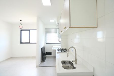 Apartamento para alugar com 40m², 2 quartos e sem vagaCozinha