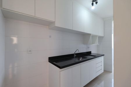 Cozinha de apartamento para alugar com 1 quarto, 45m² em Jardim Botânico, Ribeirão Preto