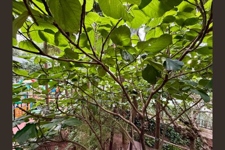 Apartamento para alugar com 180m², 3 quartos e 3 vagasVista 