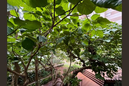 Apartamento para alugar com 180m², 3 quartos e 3 vagasVista 