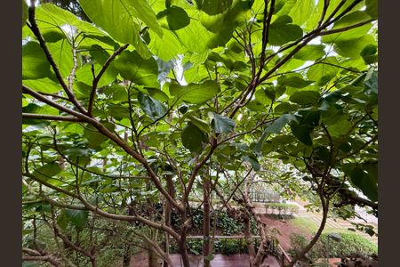 Apartamento para alugar com 180m², 3 quartos e 3 vagasVista 