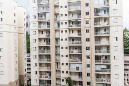 Apartamento para alugar com 68m², 2 quartos e 1 vaga Apartamento para alugar com 68m², 2 quartos e 1 vagaVista da Suíte