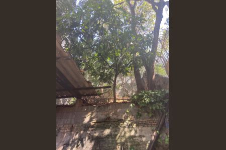 Foto 13 de casa à venda com 2 quartos, 174m² em Cambuci, São Paulo