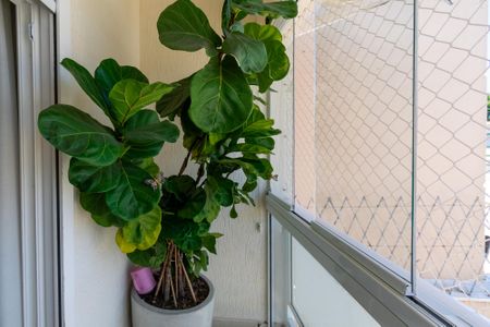 Casa à venda com 360m², 4 quartos e 6 vagasSacada da Suíte 4