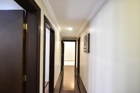 Corredor de apartamento para alugar com 2 quartos, 42m² em Jardim Leonor, São Paulo
