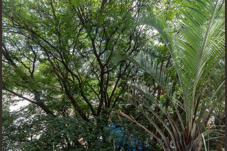 Apartamento para alugar com 148m², 3 quartos e 2 vagas Apartamento para alugar com 148m², 3 quartos e 2 vagasVaranda Gourmet - Vista