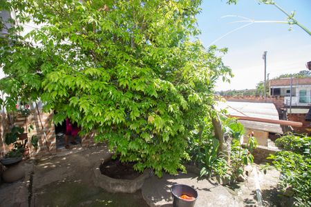 Casa para alugar com 360m², 3 quartos e 1 vagaQuintal